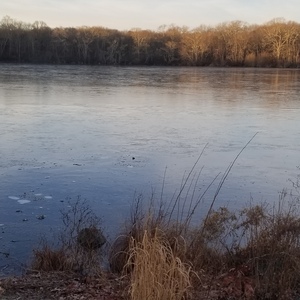 Fundraising Page: Tim McDavitt